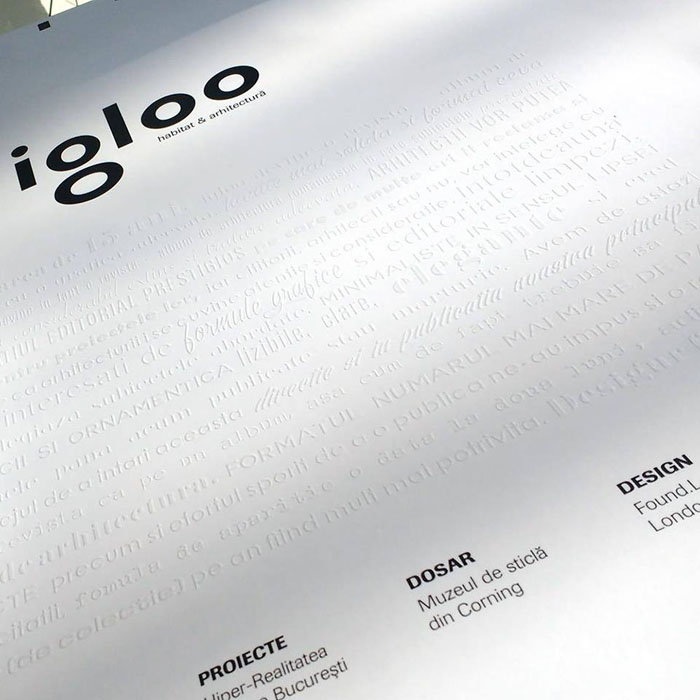 1Noul Igloo - Designist